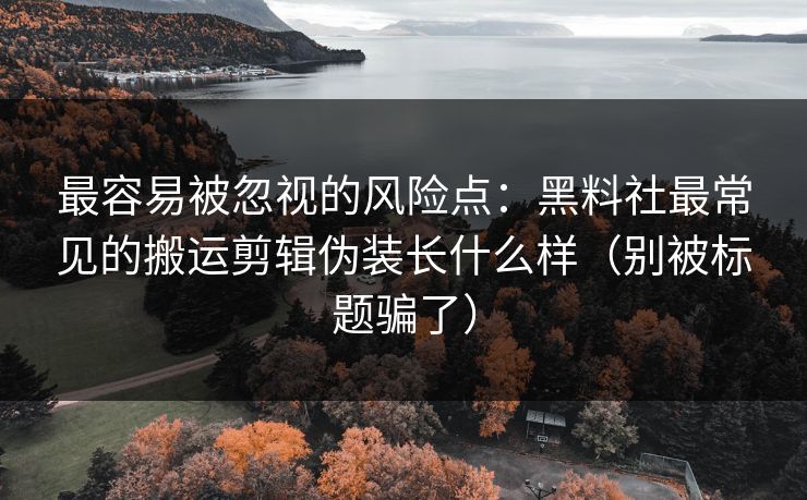 最容易被忽视的风险点：黑料社最常见的搬运剪辑伪装长什么样（别被标题骗了）