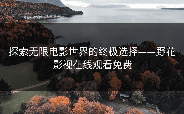 探索无限电影世界的终极选择——野花影视在线观看免费