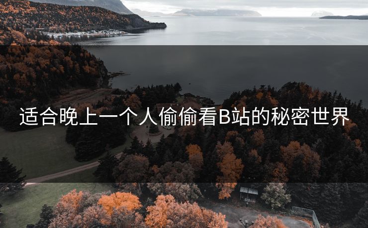 适合晚上一个人偷偷看B站的秘密世界