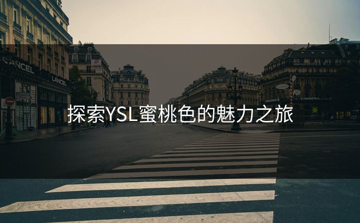 探索YSL蜜桃色的魅力之旅