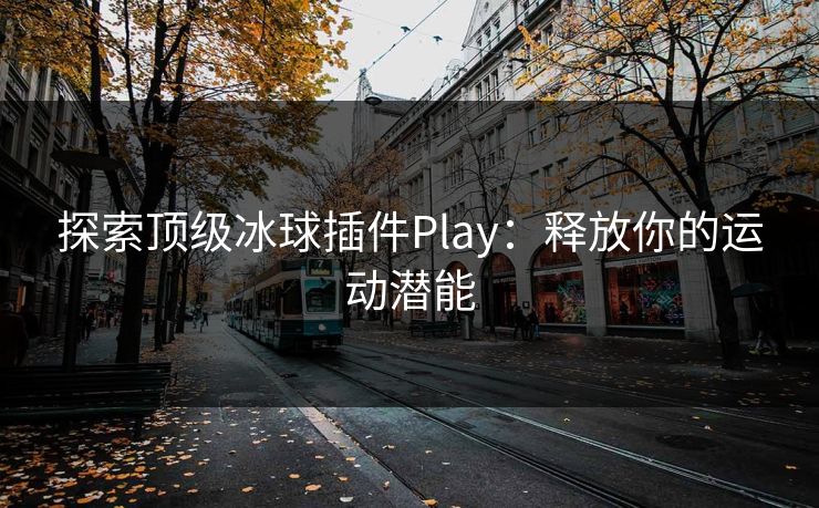 探索顶级冰球插件Play：释放你的运动潜能