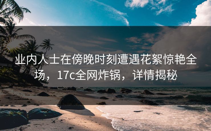 业内人士在傍晚时刻遭遇花絮惊艳全场，17c全网炸锅，详情揭秘