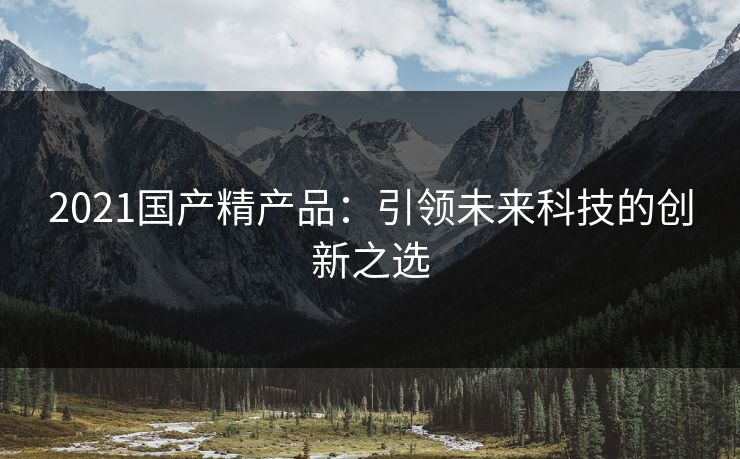 2021国产精产品：引领未来科技的创新之选