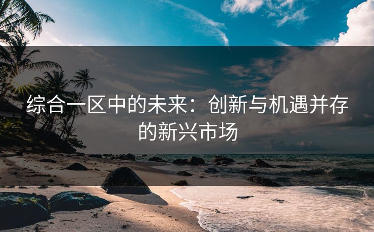 综合一区中的未来：创新与机遇并存的新兴市场