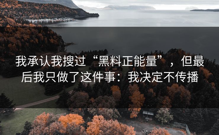我承认我搜过“黑料正能量”，但最后我只做了这件事：我决定不传播