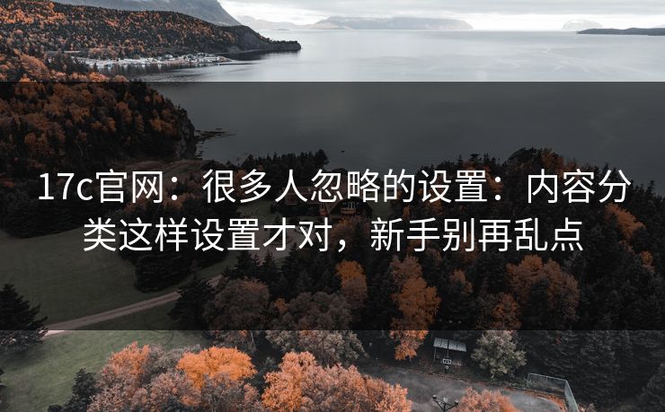 17c官网：很多人忽略的设置：内容分类这样设置才对，新手别再乱点